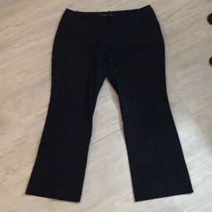 The Limited Collection Drew Fit Pants Bootcut